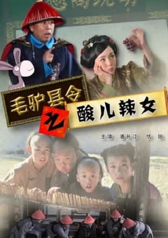 2014年国产喜剧片《毛驴县令之酸儿辣女》HD国语中字 4K网盘迅雷下载