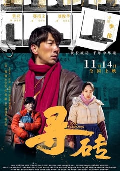 2025年国产剧情片《寻砖》HD国语中字 4K网盘迅雷下载