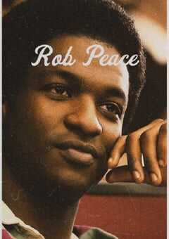 2024年美国剧情片《被盗的和平》BD中英双字 4K网盘迅雷下载