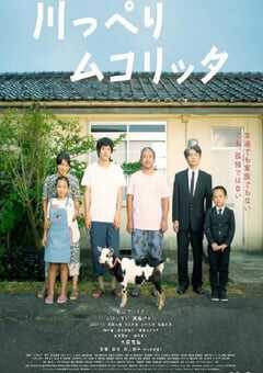 2021年日本8.2分剧情家庭片《河畔须臾》BD日语中字 4K网盘迅雷下载