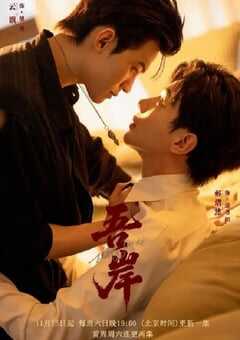 2025年国产大陆电视剧《吾岸》全15集 4K网盘迅雷下载