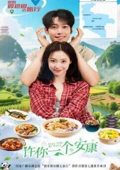 2026年国产大陆电视剧《许你一个安康》全12集 4K网盘迅雷下载