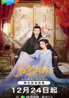 2025年国产大陆电视剧《机智的公主殿下》全26 4K网盘迅雷下载