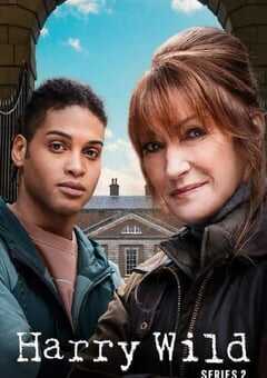 2023年爱尔兰电视剧《野探哈莉 第二季》全6集 4K网盘迅雷下载