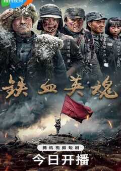 2025年国产大陆电视剧《铁血英魂》全10集 4K网盘迅雷下载