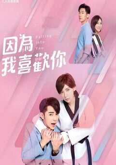 2020年中国台湾电视剧《因为我喜欢你》全26 4K网盘迅雷下载