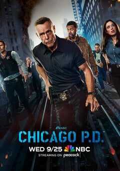 2024年美国电视剧《芝加哥警署 第十二季》全22集 4K网盘迅雷下载