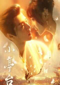 2024年国产大陆电视剧《小亭台》全24集 4K网盘迅雷下载