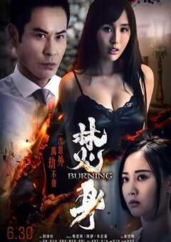 2022年中国香港悬疑惊悚片《焚情》BD国粤双语中字 4K网盘迅雷下载