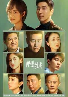 2021年国产大陆电视剧《理想之城》全40集 4K网盘迅雷下载