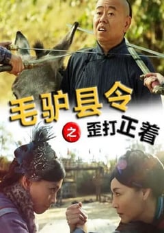 2014年国产喜剧片《毛驴县令之歪打正着》HD国语中字 4K网盘迅雷下载