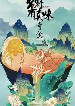 2025年国产大陆纪录片《乡野有真味3奇食》全12集 4K网盘迅雷下载