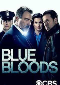 2024年美国电视剧《警察世家 第十四季》全10集 4K网盘迅雷下载