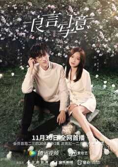2021年国产大陆电视剧《良言写意》全32集 4K网盘迅雷下载