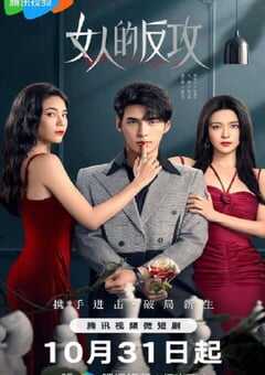 2024年国产大陆电视剧《女人的反攻》全24集 4K网盘迅雷下载