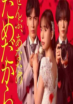 2026年日本电视剧《一切都是为了你》连载至07 4K网盘迅雷下载