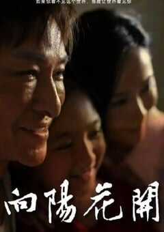 2024年国产剧情片《向阳花开》HD国语中英双字 4K网盘迅雷下载