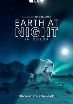 2021年美国纪录片《夜色中的地球 第二季》全6集 4K网盘迅雷下载