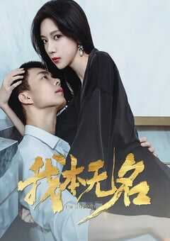 2025年国产大陆电视剧《我本无名》全24集 4K网盘迅雷下载