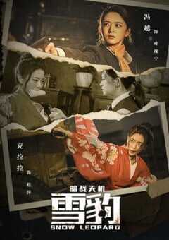 2021年国产动作战争片《雪豹之暗战天机》HD国语中字 4K网盘迅雷下载