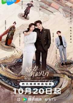 2025年国产大陆电视剧《娇妻芳龄几许》全24集 4K网盘迅雷下载