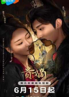 2025年国产大陆电视剧《贵嫡》全21集 4K网盘迅雷下载