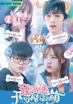 2022年国产大陆电视剧《我的兄弟不可能这么萌》全15集 4K网盘迅雷下载