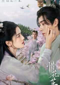 2024年国产大陆电视剧《惜花芷》全40集 4K网盘迅雷下载