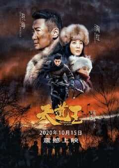 2020年国产动作片《天道王》HD国语中字 4K网盘迅雷下载