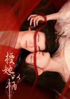 2024年国产大陆电视剧《授她以柄》全20集 4K网盘迅雷下载