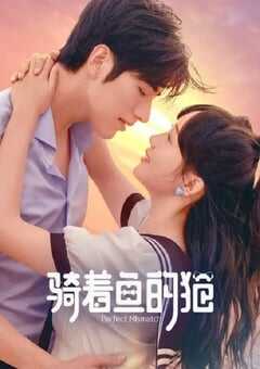 2023年国产大陆电视剧《骑着鱼的猫》全24集 4K网盘迅雷下载