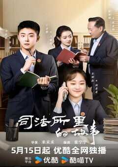2025年国产大陆电视剧《司法所的故事》全40集 4K网盘迅雷下载