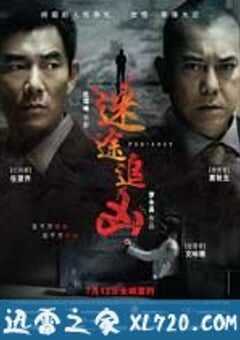 迷途追凶 報應 (2011) 4K网盘迅雷下载