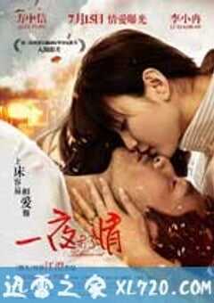 一夜未了情 (2011) 4K网盘迅雷下载