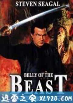 潜龙轰天3：野兽之腹 Belly of the Beast (2003) 4K网盘迅雷下载