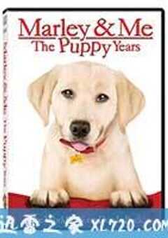 马利与我2 Marley & Me: The Puppy Years (2011) 4K网盘迅雷下载