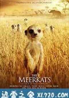 蒙哥 The Meerkats (2008) 4K网盘迅雷下载