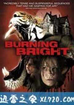燃烧的夜晚 Burning Bright (2010) 4K网盘迅雷下载