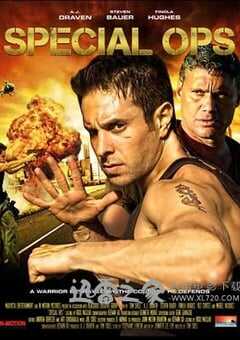 战狼特攻队 Disarmed (2010) 4K网盘迅雷下载