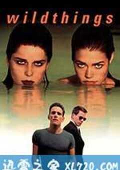 玩尽杀绝 Wild Things (1998) 4K网盘迅雷下载
