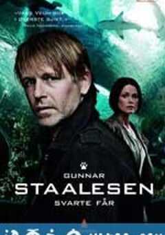 黑羊 Varg Veum – Svarte får (2010) 4K网盘迅雷下载