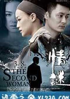 情谜 情謎 (2012) 4K网盘迅雷下载