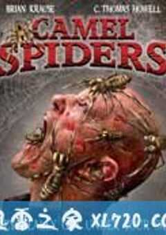 骆驼蜘蛛 Camel Spiders (2011) 4K网盘迅雷下载