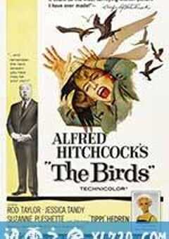 群鸟 The Birds (1963) 4K网盘迅雷下载
