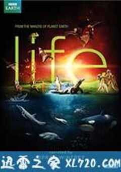 生命 Life (2009) 4K网盘迅雷下载