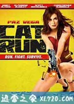 性感女特工 Cat Run (2011) 4K网盘迅雷下载