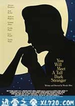 遭遇陌生人 You Will Meet A Tall Dark Stranger (2010) 4K网盘迅雷下载