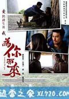 为你而来 (2012) 4K网盘迅雷下载