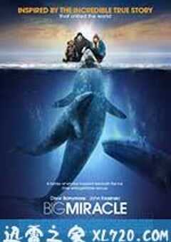鲸奇 Big Miracle (2012) 4K网盘迅雷下载