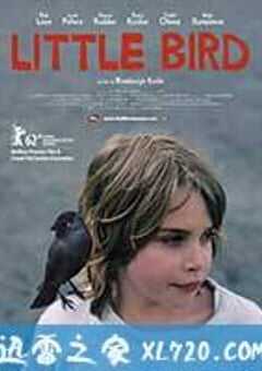 乌鸦男孩 Kauwboy (2012) 4K网盘迅雷下载